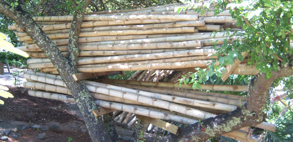 Tre Gai Bamboo Poles